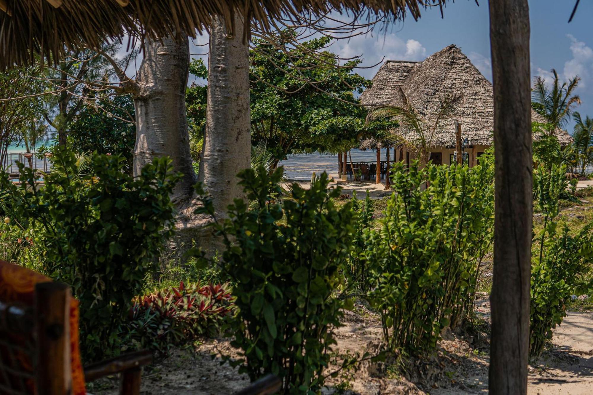 Jaribu Beach Hotel Paje Exterior foto